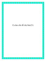 Ca dao chủ đề chợ búa, kinh doanh potx