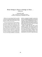 Báo cáo khoa học: 