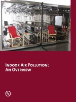 Indoor Air Pollution: An Overview potx