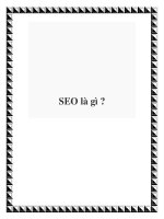 SEO là gì ? docx