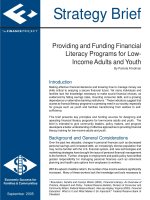 Providing and Funding Financial Literacy Programs for Low- Income Adults and Youth pot