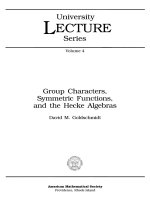 group characters, symmetric functions and the hecke algebras - d. goldschmidt