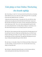 Giải pháp cơ bản Online Marketing cho doanh nghiệp ppt