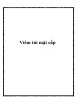 Viêm túi mật cấp potx