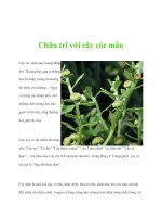 Chữa trĩ với cây cóc mẳn docx