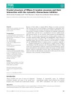 Báo cáo khoa học: Crystal structure of RNase A tandem enzymes and their interaction with the cytosolic ribonuclease inhibitor potx