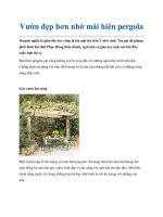 Vườn đẹp hơn nhờ mái hiên pergola doc