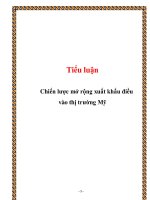 Tiểu luận: Chiến lược mở rộng xuất khẩu điều vào thị trường Mỹ ppt