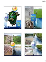 Đề cương vi sinh học môi trường ppt