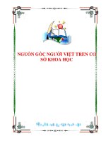 Nguồn gốc người việt trên cơ sở khoa học pdf