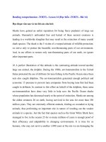 Đọc hiểu -TOEFL- Bài 14 pdf