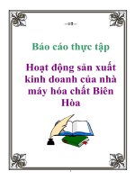 báo cáo thực tập hoạt động sản xuất kinh doanh của nhà máy hóa chất biên hòa