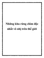 Những khu rừng chìm độc nhất vô nhị trên thế giới pot