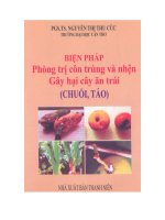 Biện pháp phòng trị côn trùng và nhện gây hại cây ăn trái pot