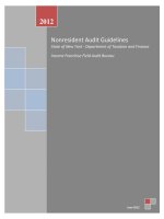 Nonresident Audit Guidelines State of New York - Department of Taxation and Finance pptx