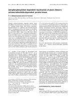Báo cáo Y học: Autophosphorylation-dependent inactivation of plant chimeric calcium/calmodulin-dependent protein kinase docx