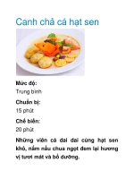 Canh chả cá hạt sen pptx