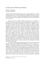 Goethe and the Molecular Aesthetic ppt