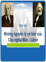 Những nguyên lý cơ bản của Chủ nghĩa Mác – Lênin pot