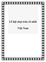 Lễ hội chọi trâu cổ nhất Việt Nam doc