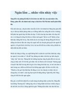 Ngán lắm ... nhân viên nhảy việc pot