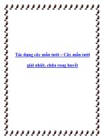 Tác dụng cây mần tưới – Cây mần tưới giải nhiệt, chữa rong huyết pptx