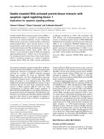 Báo cáo Y học: Double-stranded RNA-activated protein kinase interacts with apoptosis signal-regulating kinase 1 Implications for apoptosis signaling pathways docx