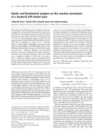 Báo cáo Y học: Kinetic and biochemical analyses on the reaction mechanism of a bacterial ATP-citrate lyase ppt