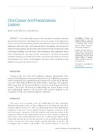 Oral Cancer and Precancerous Lesions pot
