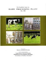 PRE-FREASIBILITY STUDY FOR DAIRY PROCESSING PLANT docx