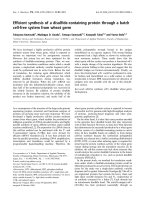 Báo cáo khoa học: Efﬁcient synthesis of a disulﬁde-containing protein through a batch cell-free system from wheat germ pdf