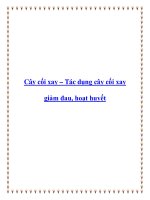 Cây cối xay – Tác dụng cây cối xay giảm đau, hoạt huyết pdf