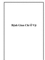 Bệnh Giun Chỉ Ở Vịt docx
