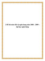 2 Đề thi môn tiền tệ ngân hang năm 2008 – 2009 doc