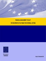 FINANCIAL MANAGEMENT TOOLKIT FOR RECIPIENTS OF EU FUNDS FOR EXTERNAL ACTIONS pot
