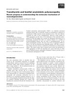 Báo cáo khoa học: Transthyretin and familial amyloidotic polyneuropathy Recent progress in understanding the molecular mechanism of neurodegeneration pdf