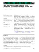 Báo cáo khoa học: Focal localization of MukBEF condensin on the chromosome requires the ﬂexible linker region of MukF docx
