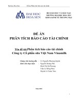 Phân tích báo cáo tài chính Công ty Cổ Phần sữa Việt Nam Vinamilk