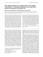 Báo cáo Y học: Extra terminal residues have a profound effect on the folding and solubility of a Plasmodium falciparum sexual stage-speciﬁc protein over-expressed in Escherichia coli pptx