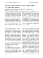 Báo cáo Y học: Processing, stability, and kinetic parameters of C5a peptidase from Streptococcus pyogenes pptx