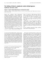 Báo cáo Y học: The folding of dimeric cytoplasmic malate dehydrogenase Equilibrium and kinetic studies doc