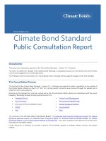 Climate Bond Standard Public Consultation Report - NOVEMBER 2011 pdf