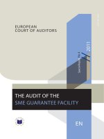 THE AUDIT OF THE SME GUARANTEE FACILITY ppt