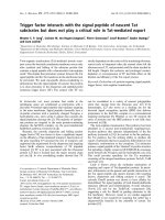 Báo cáo khoa học: Trigger factor interacts with the signal peptide of nascent Tat substrates but does not play a critical role in Tat-mediated export pptx