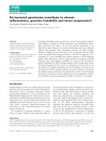 Báo cáo khoa học: Do bacterial genotoxins contribute to chronic inﬂammation, genomic instability and tumor progression? pot