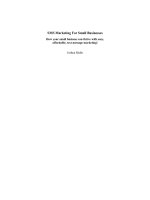 SMS Marketing For Small Businesses pot