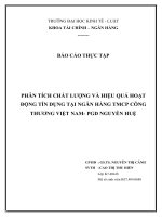 phân tích chất lượng và hiệu quả hoạt động tín dụng tại ngân hàng tmcp công thương việt nam- pgd nguyễn huệ