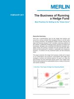 The Business of Running a Hedge Fund ppt