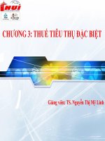 Thuế thu nhập đặc biệt docx