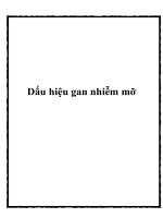 Dấu hiệu gan nhiễm mỡ pot